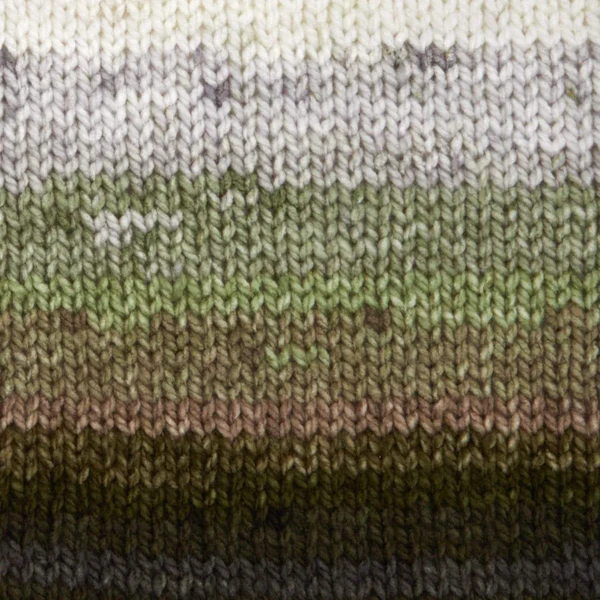 Premier Colorfusion Chunky 1174-10 Woodland Acrylic